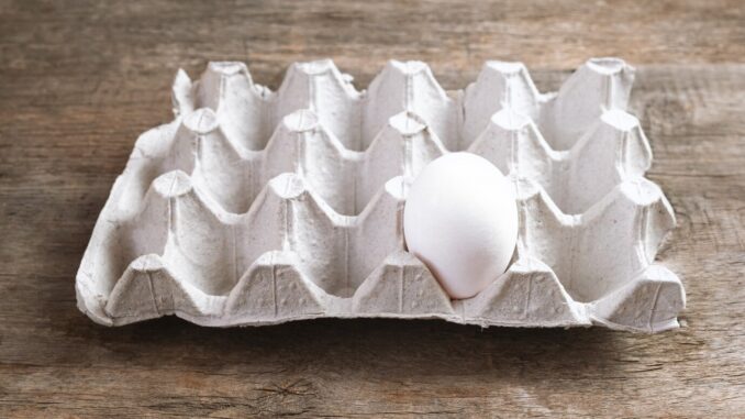 one-white-egg-pack-wooden-background_127675-2529