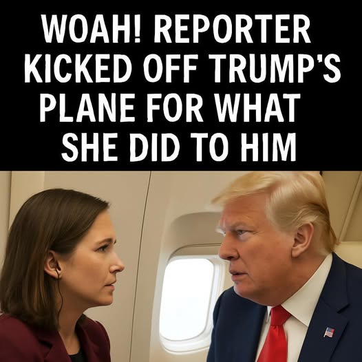 Female Interviewer Recounts Time She Was Booted Off Trump’s Plane