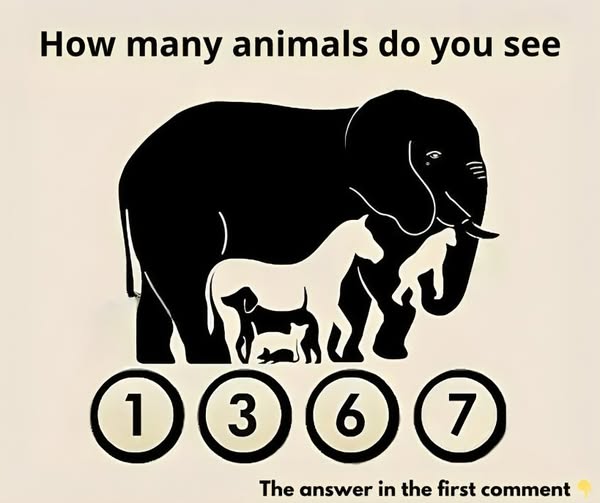 How many animals can you see in this picture