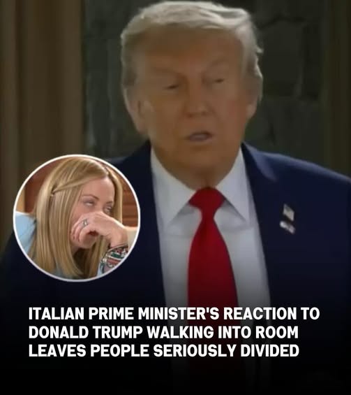 G7 Summit Video Sparks Debate Over Diplomatic Body Language and International Relations