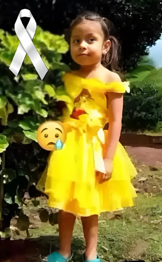 The 5-Year-old girl who was hit by a…