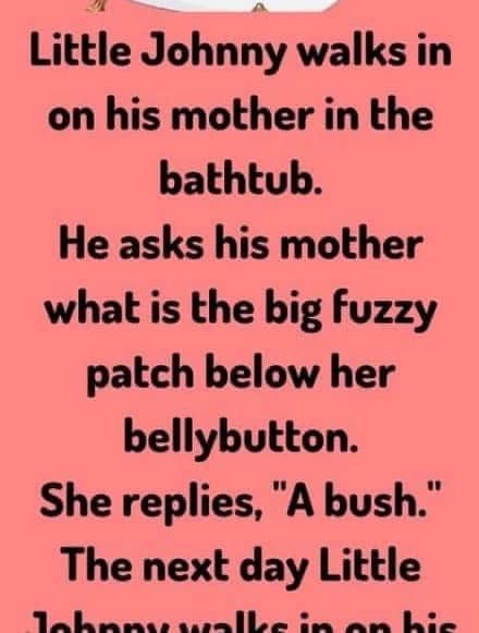 Little Johnny Walks in on his mother, read more below..