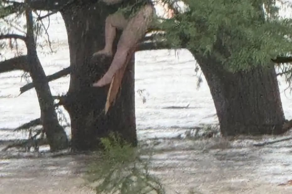 Breaking News: One of the missing camp girls was found 12 miles down river in Texas.