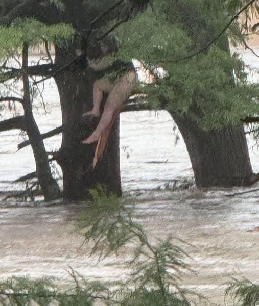 Breaking News: Missing Camp Girl Found 12 Miles Downriver in Texas Amid Historic Flooding
