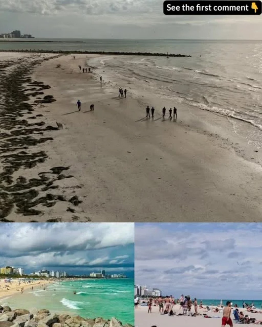 Deadly Waterborne Threat: Flesh‑Eating Bacteria Kills 4