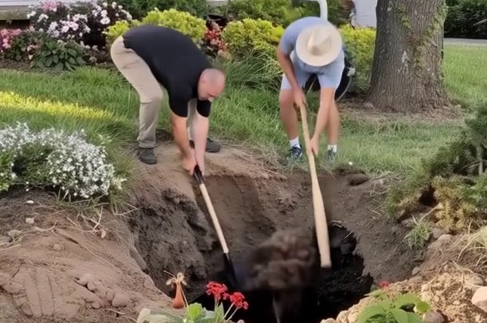 I CAME HOME TO FIND MY HUSBAND AND HIS EX DIGGING IN MY GARDEN WHEN I GOT CLOSER I FROZE AT WHAT I SAW