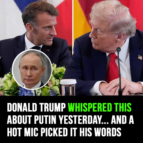 “Trump’s Remark About Putin Is Caught on Hot Mic During Meeting with Zelenskyy”