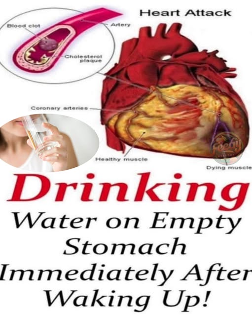 Benefits of Drinking Water on an Empty Stomach, Boost Your Health from the Start of the Day