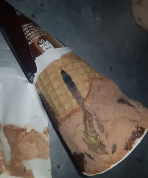 My daughter opened a package of chocolate ice cream and found something strange inside: we were surprised to realize what it was
