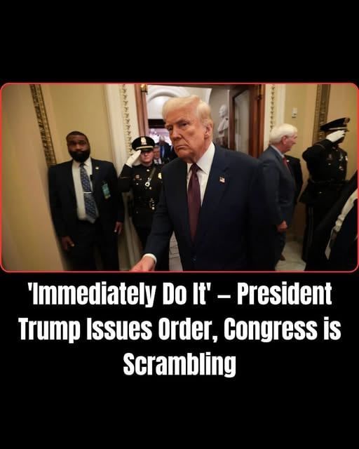 Trump Just Dropped a Bombshell Inside the Senate — “Do it now, or…See more