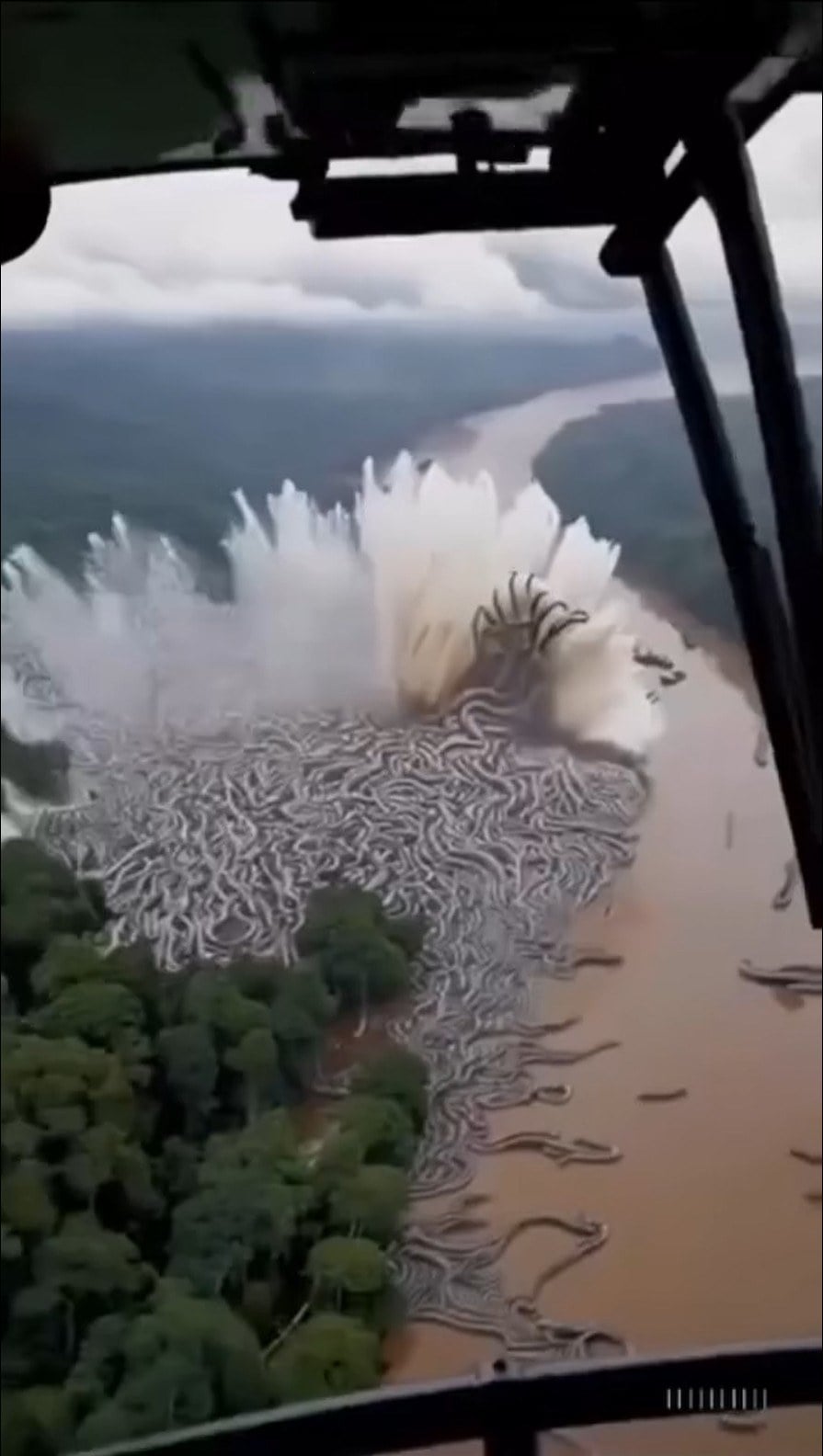 BREAKING NEWS Unbelievable footage from the Amazon… See more