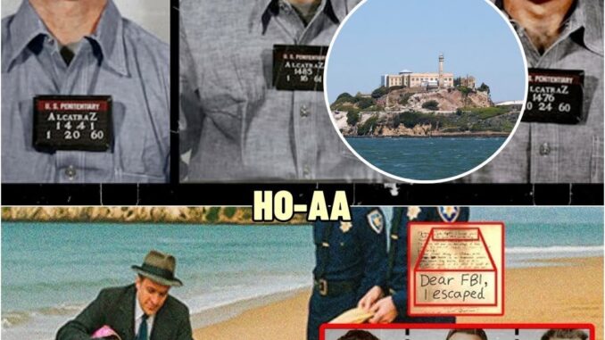 600183308_122305696250026022_8070308901650544466_n