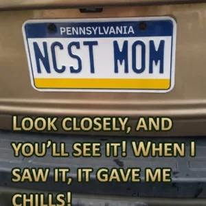 This Clever License Plate Has Everyone T
