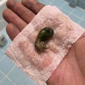 A Mysterious Discovery on Our Bathroom Floor Left Us Searching for Answers