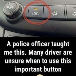What the Air Recirculation Button Means for Your Drivin