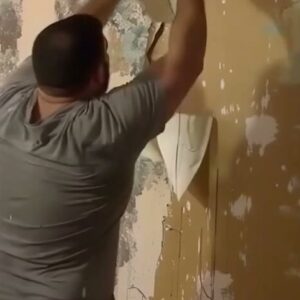 He Took Back the Wallpaper After Our Divorce—But Life Had the Last Word