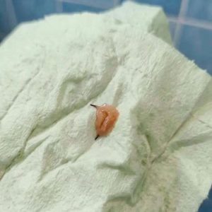I Found Something Unusual by the Shower Drain — The Truth Was Surprisingly Simple