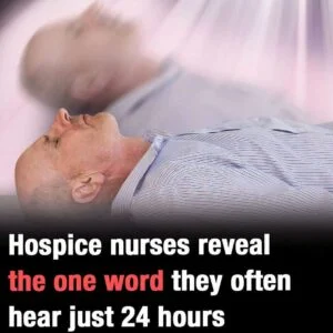 Hospice nurses reveal the one word they often hear just 24 hours before someone dies