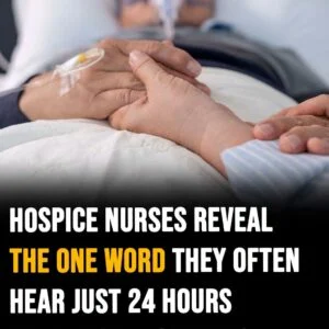 Hospice nurses reveal the one word they often hear just 24 hours before someone dies